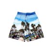 画像2: BROOKLYN PROJECTS：L.A. Day "Venice Beach"Shorts (2)