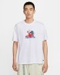 画像3: NIKE SB：マックス90 スケートボード Tシャツ (3)