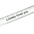 画像4: LOOSEY：RULER BELT (4)